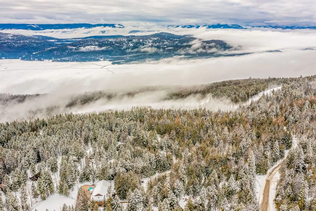 Whitefish Escape