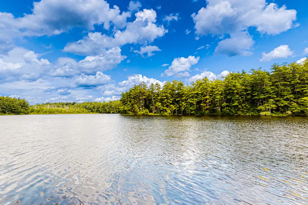 The Three Cornered Pond Retreat