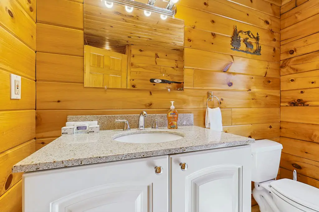 The Moose Cabin