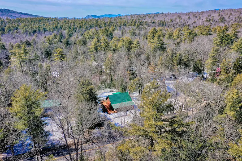 The Moose Cabin