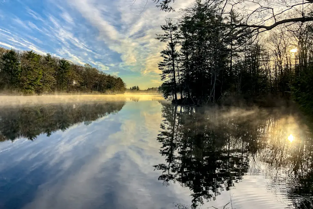 Lakefront Pines