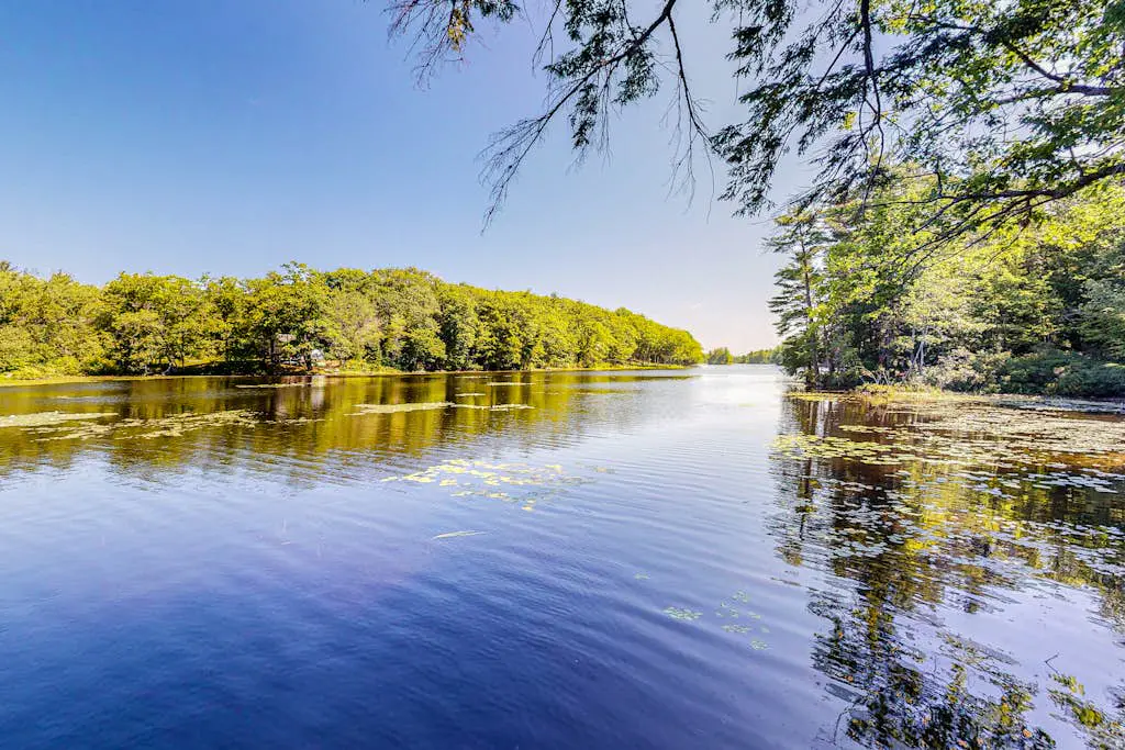 Lakefront Pines
