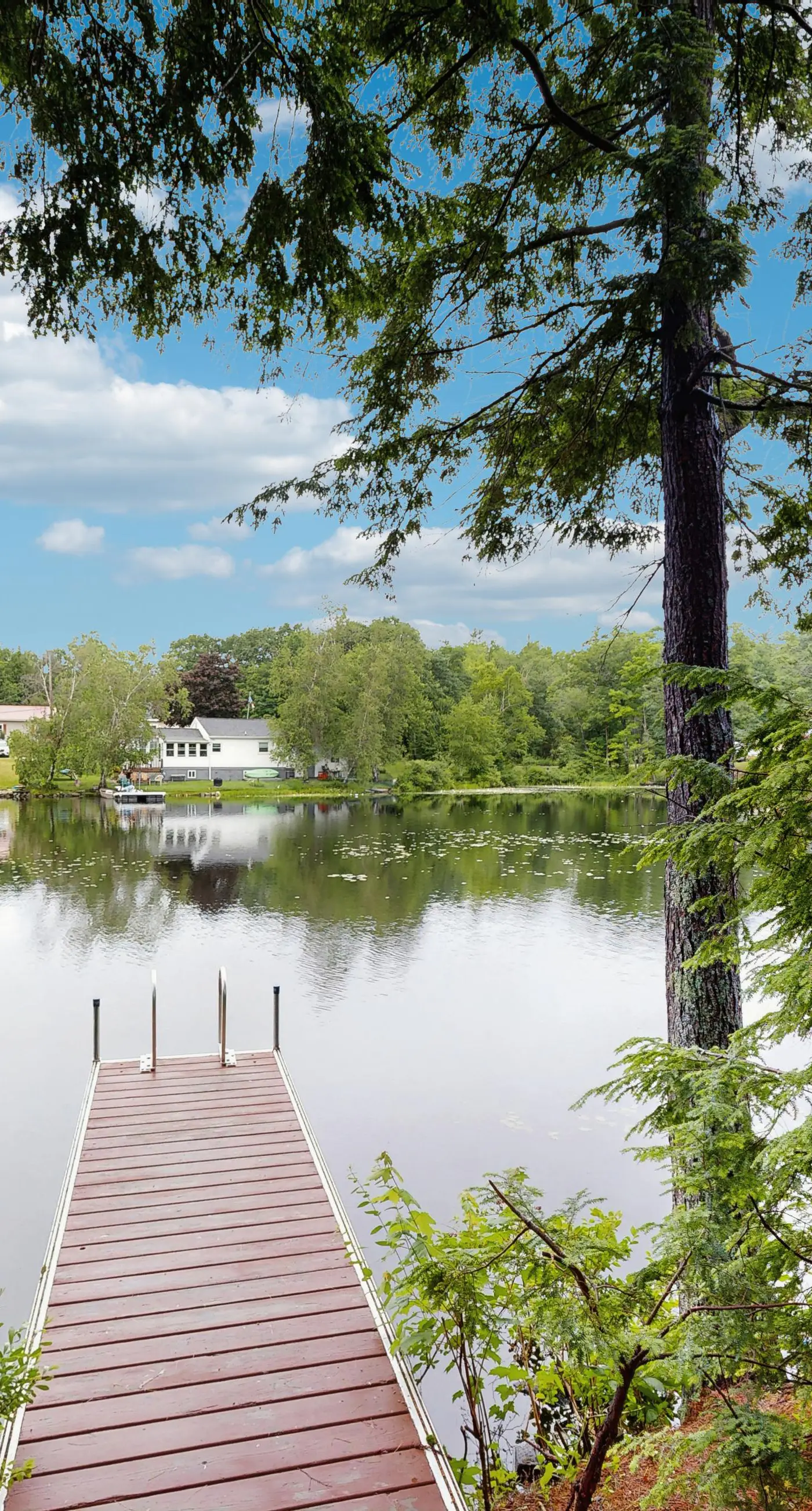 Lakefront Pines