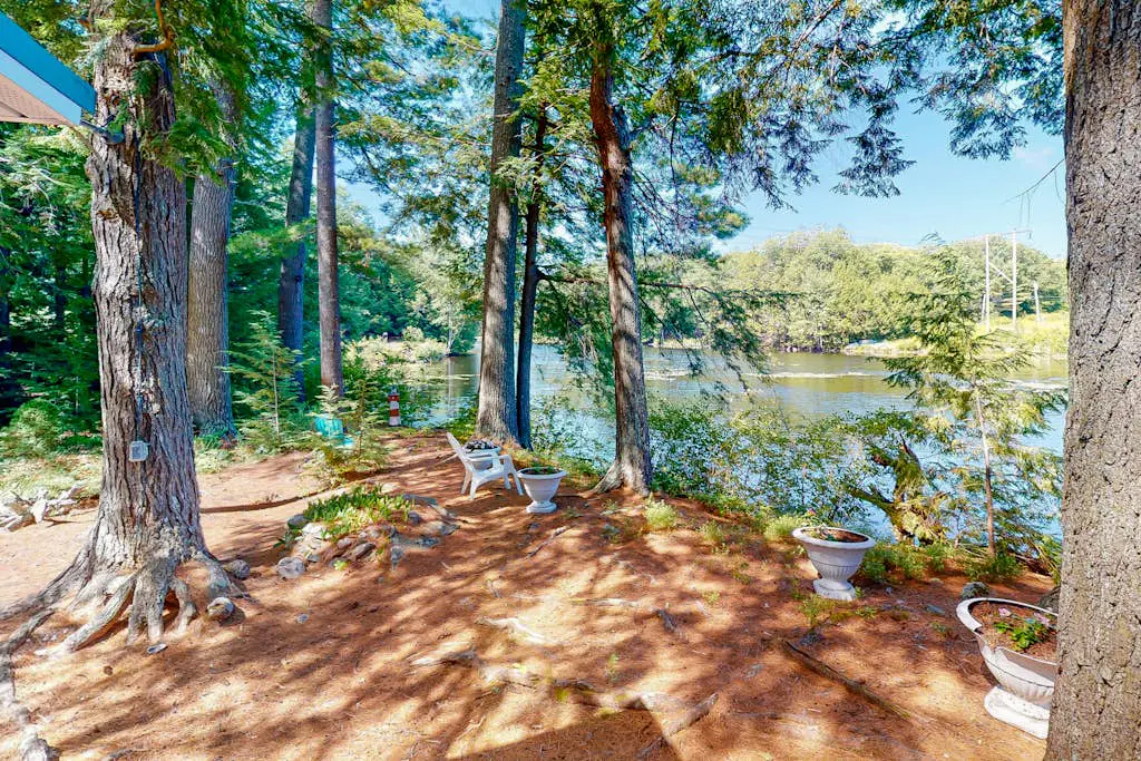 Lakefront Pines