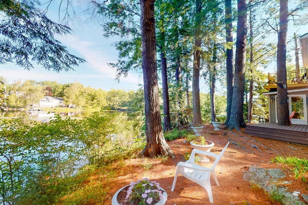 Lakefront Pines