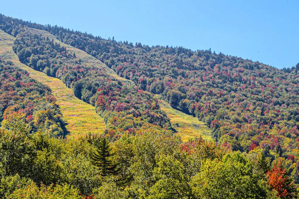 Locke Mountain A6