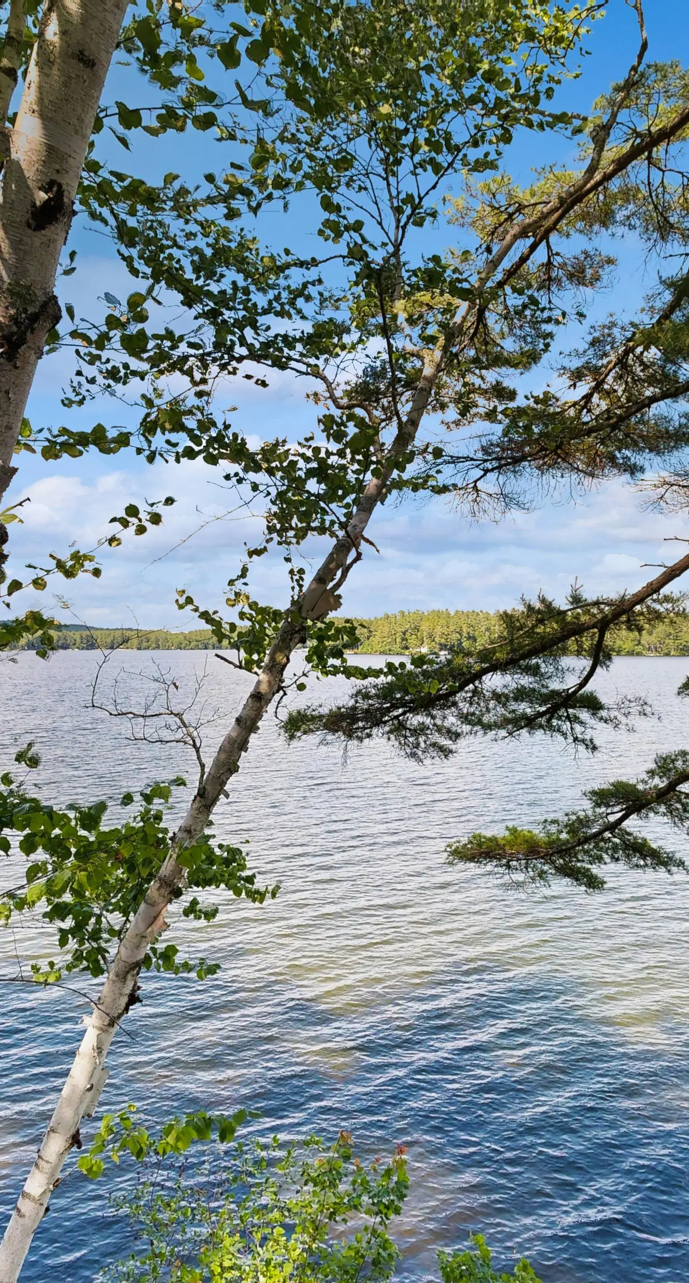 Lakefront Retreat