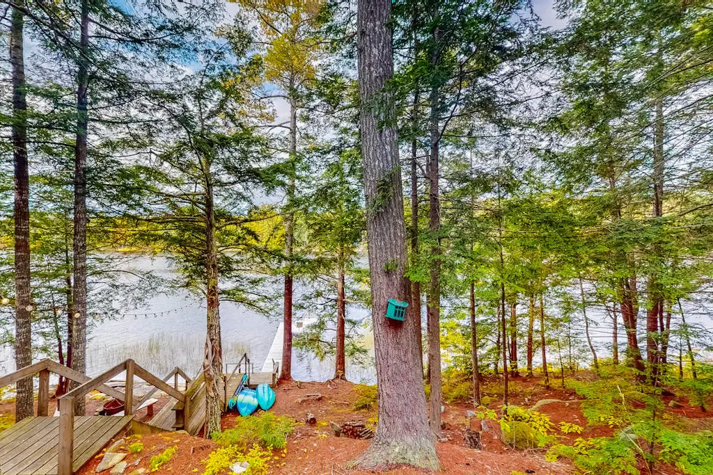 Camp Loon a Tic