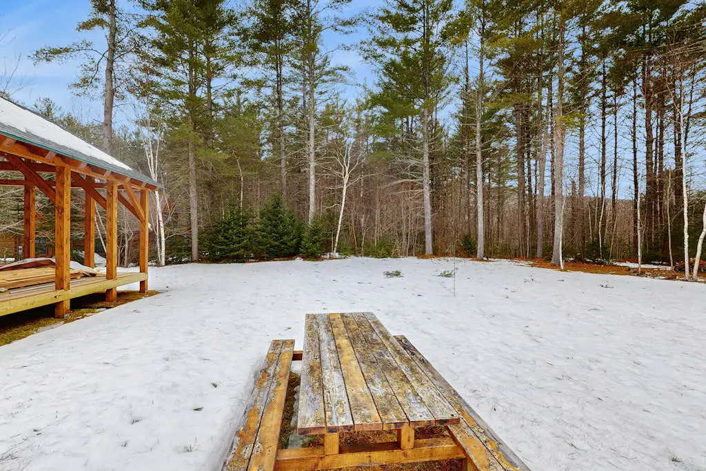 Snowy Pines Lodge