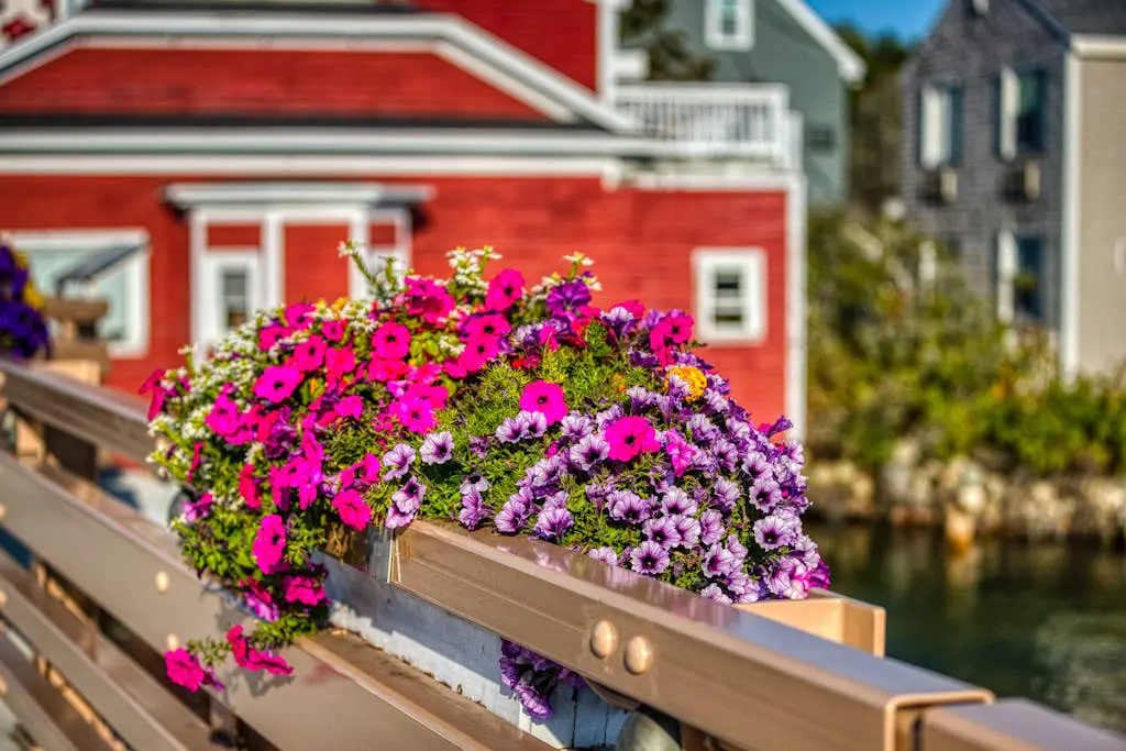Shorelands Resort Cottage 40