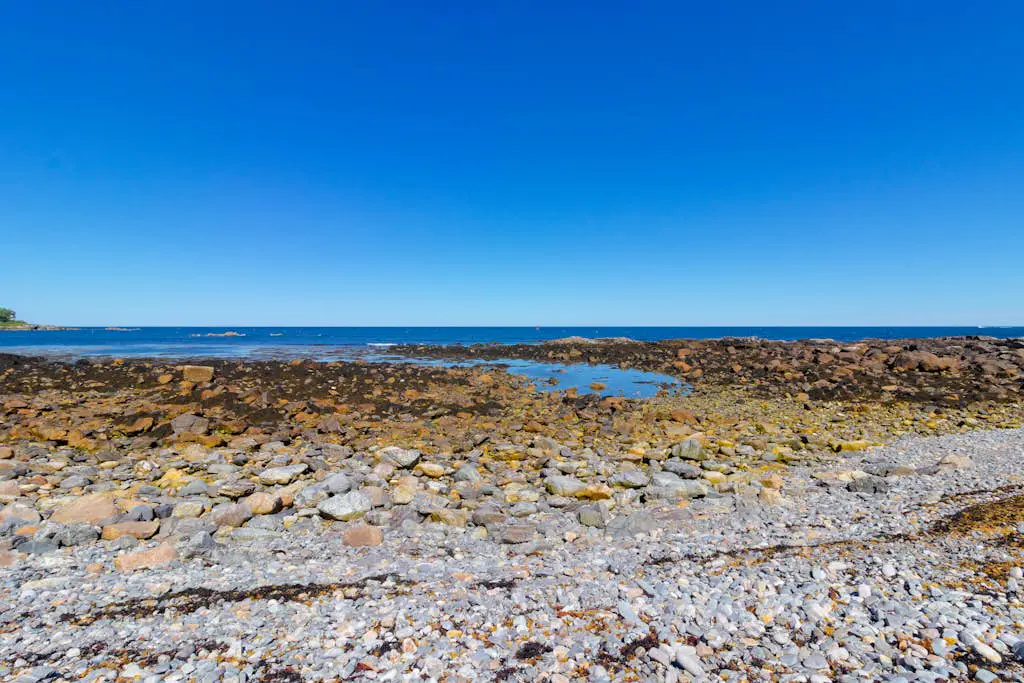 Sea Belle