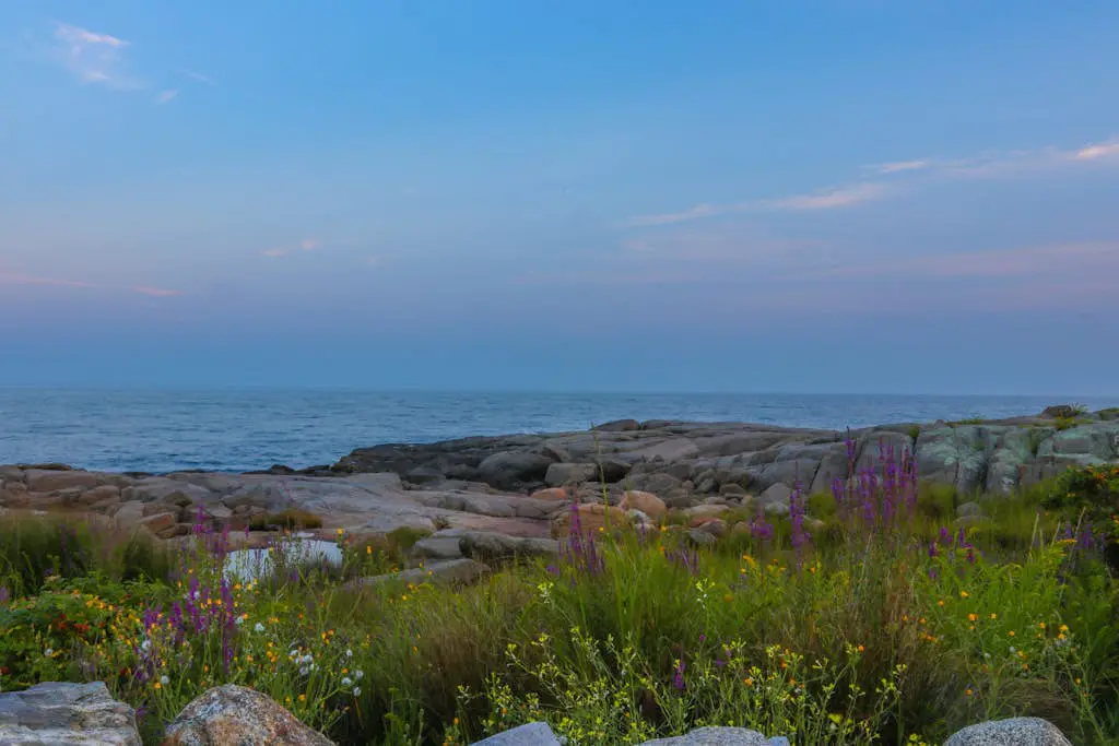 Sea Belle