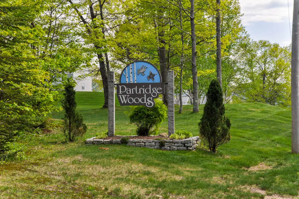 Partridge Woods 37