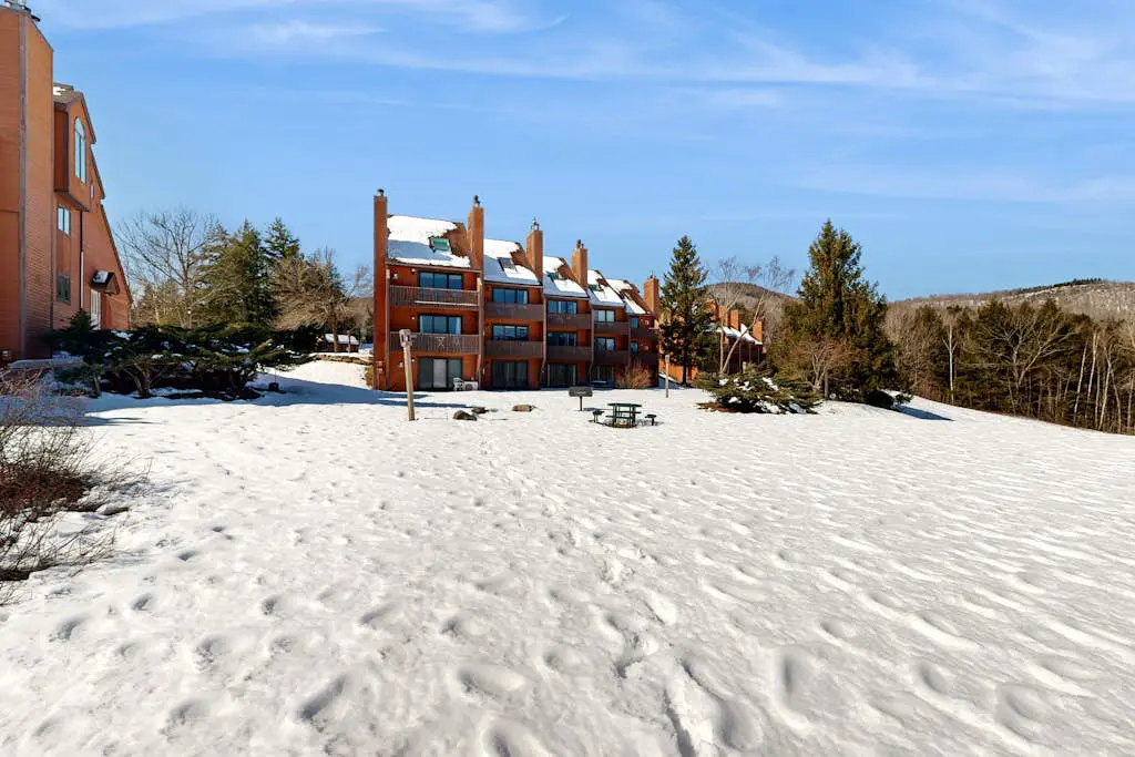 White Birch at Nordic Village