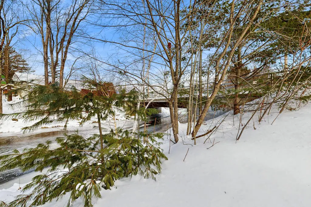 Riverbank Cabin A