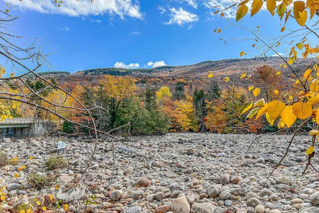 Autumn Colors Efficiency at Rivergreen