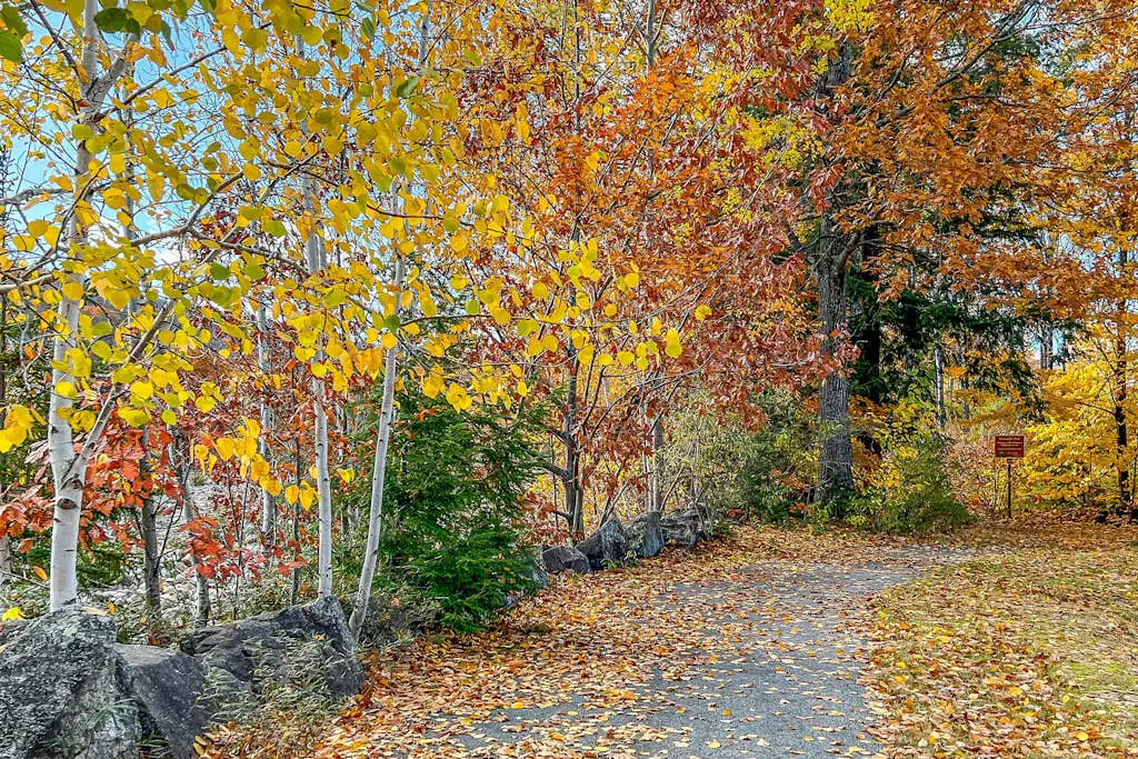 Autumn Colors Efficiency at Rivergreen
