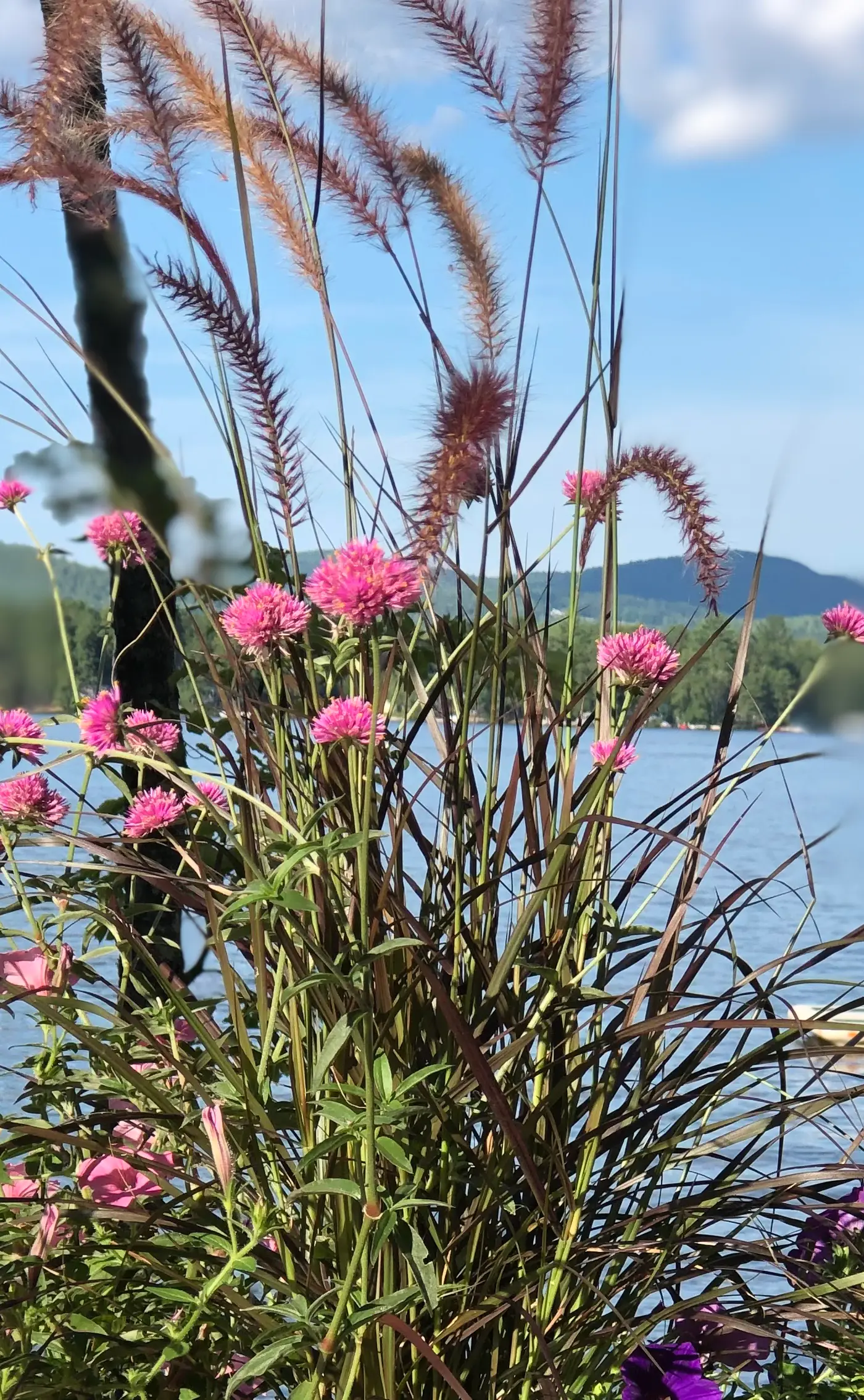 Leavitt Bay Shores