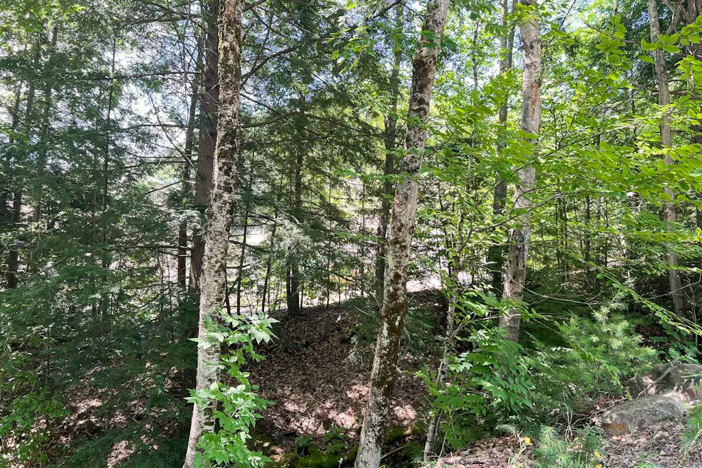 Hillside Hideaway