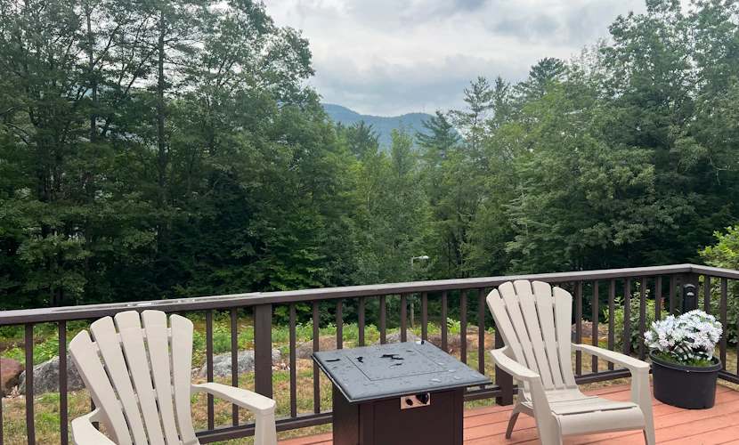 A dog (and your) paradise near town, skiing, hiking & local attractions