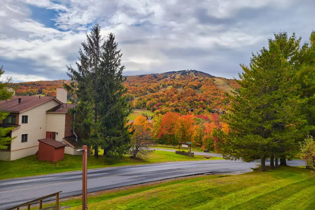 Mountain Village #5H