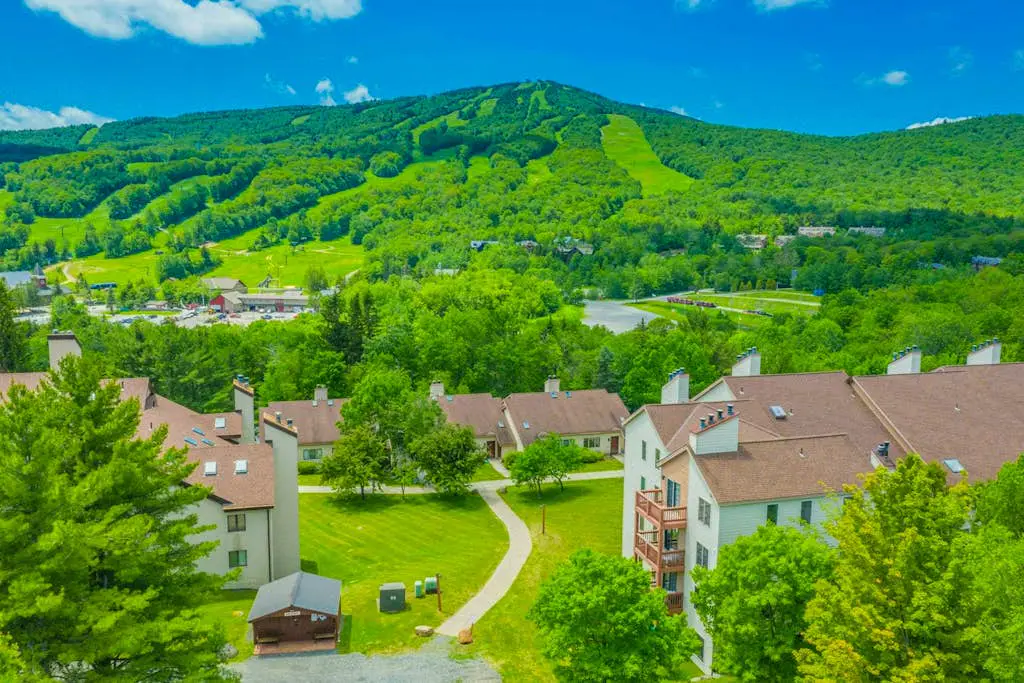 17A Mountain Village #241