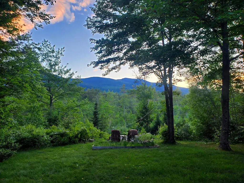 Peaceful Home