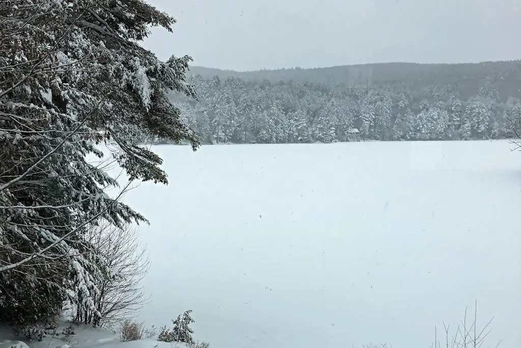 Lakeside Elegance - For a wonderful lakeside fishing getaway