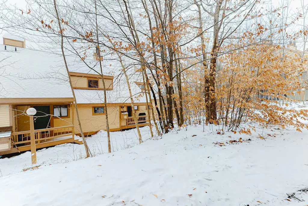 Okemo Trailside 19BL