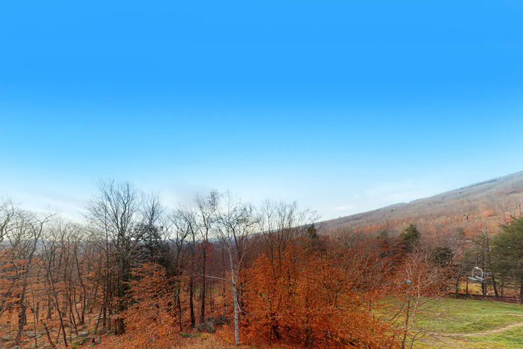 Winterplace E202