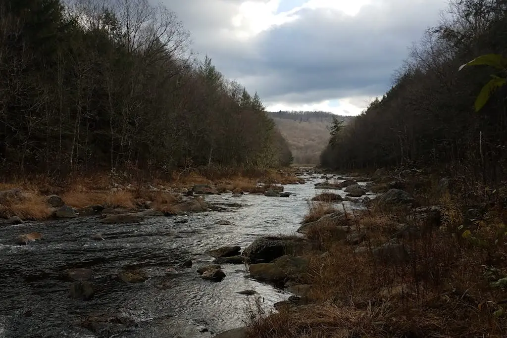 Timber Riverhouse
