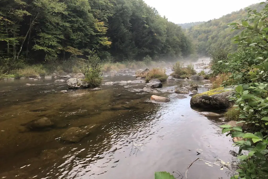 Timber Riverhouse
