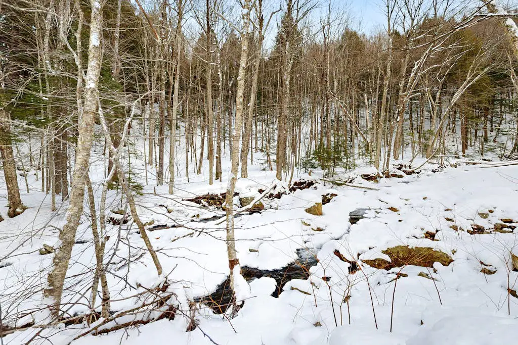 Jewell Brook Retreat