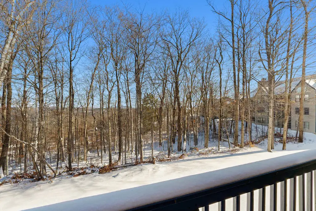Winterplace N203
