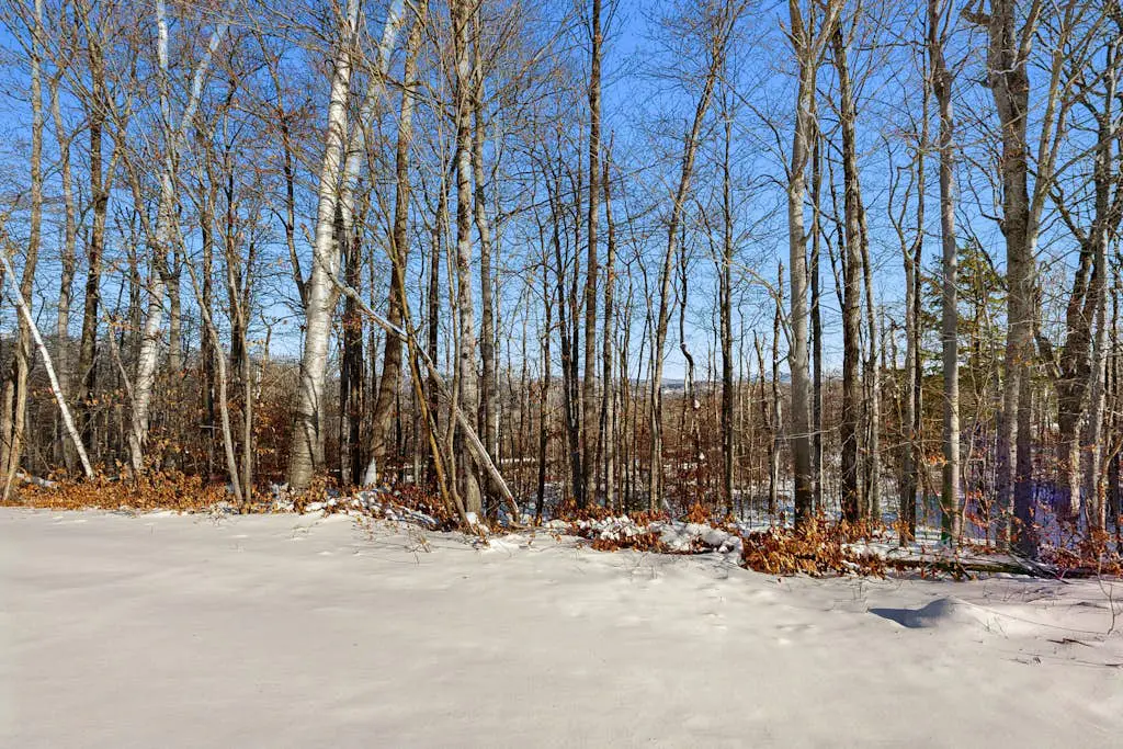 Winterplace N203