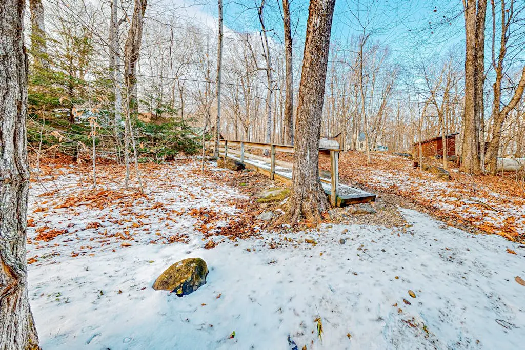 Log Ski Lodge