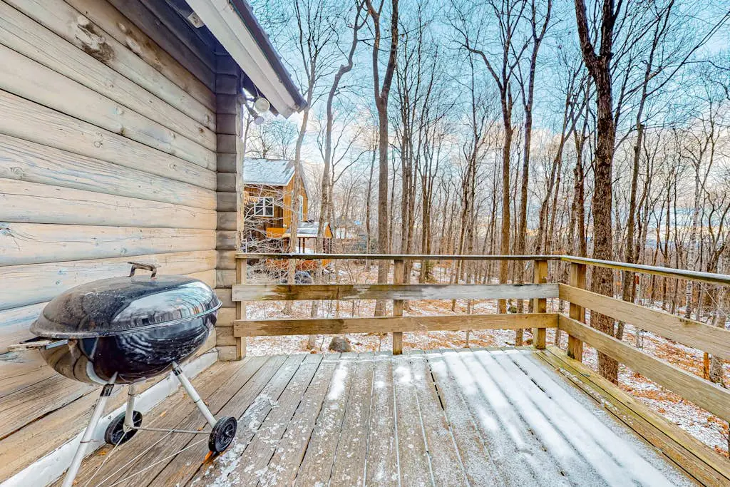 Log Ski Lodge