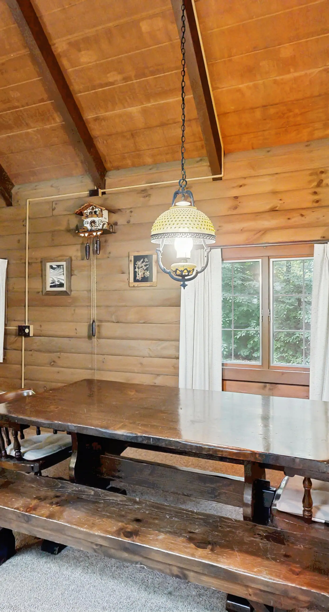 Log Ski Lodge