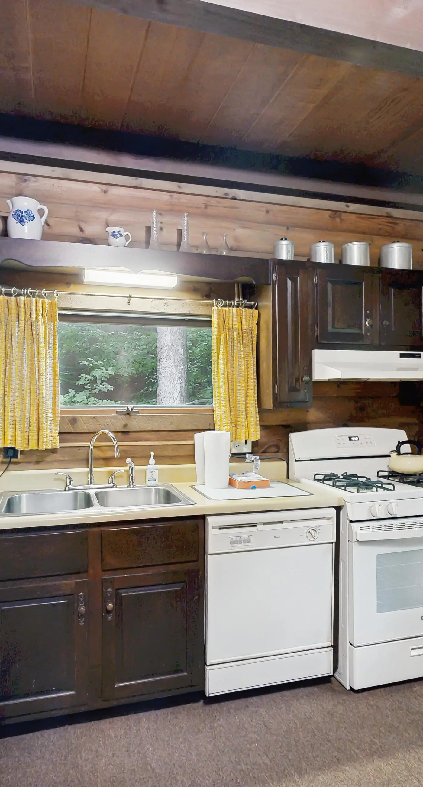 Log Ski Lodge