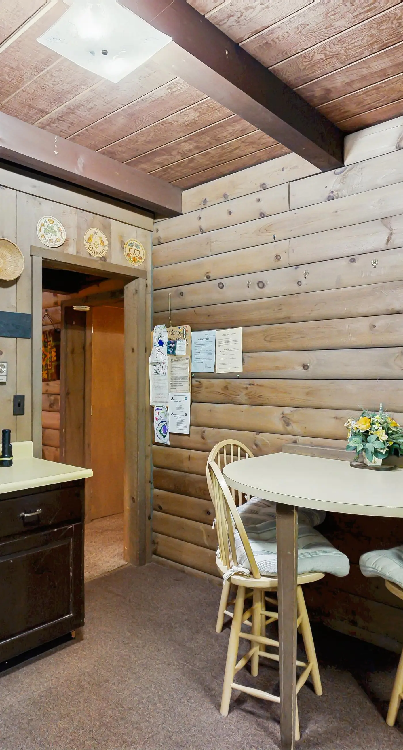 Log Ski Lodge
