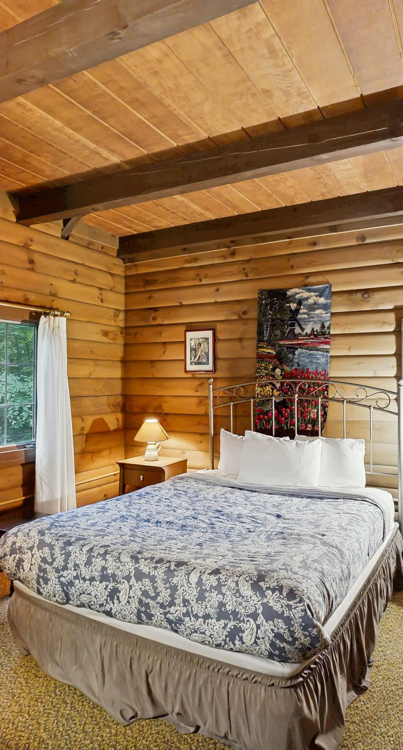 Log Ski Lodge