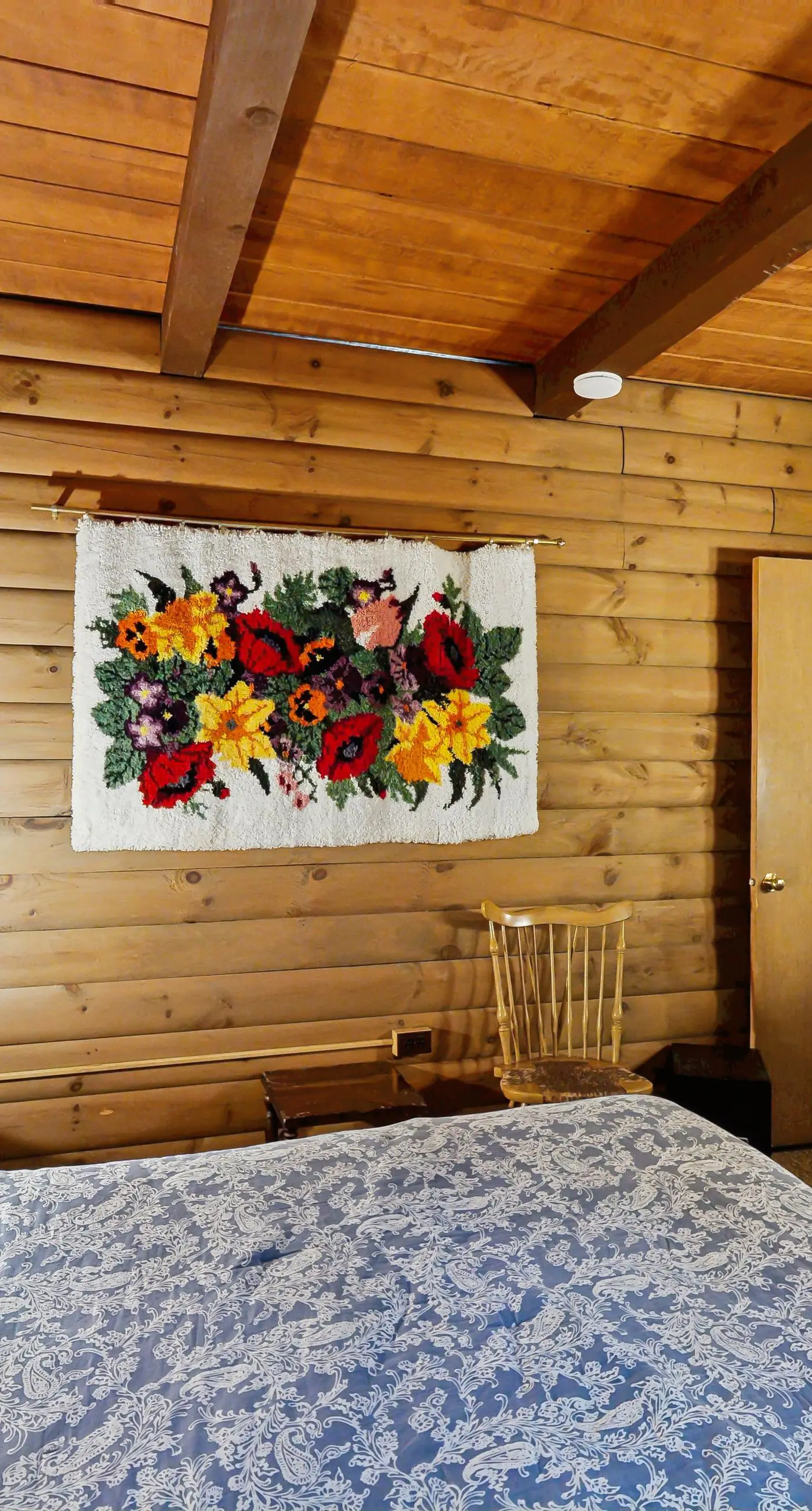 Log Ski Lodge