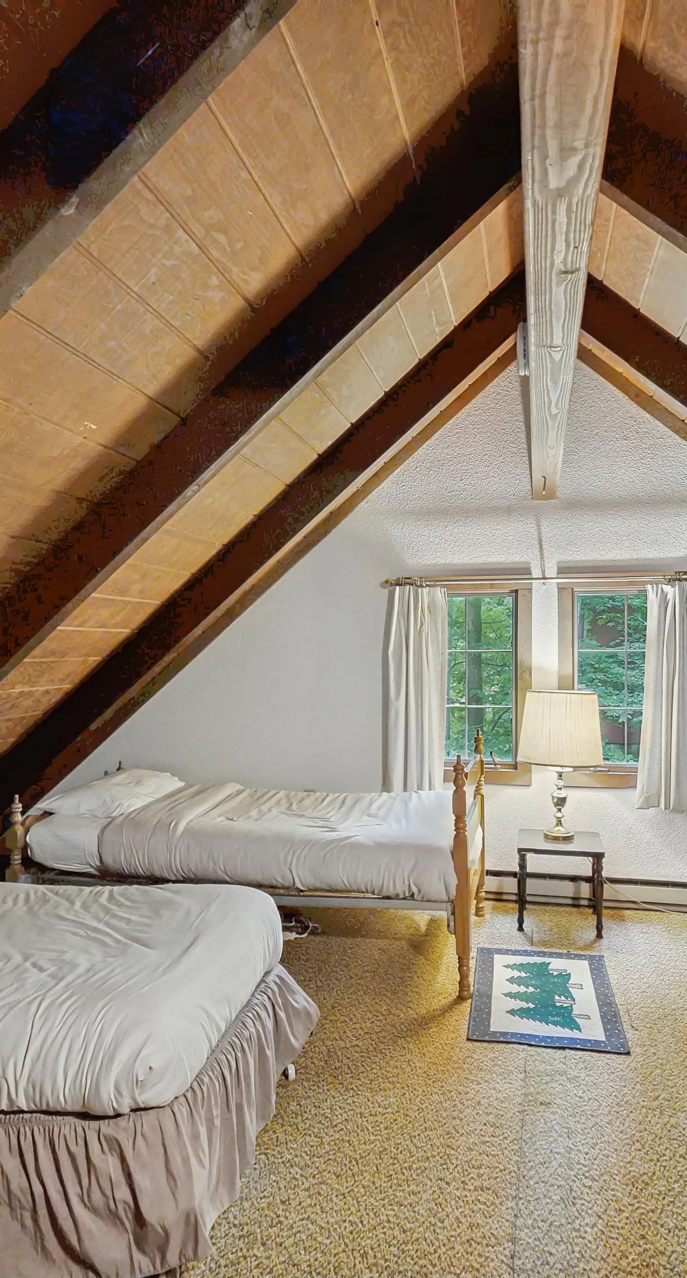 Log Ski Lodge