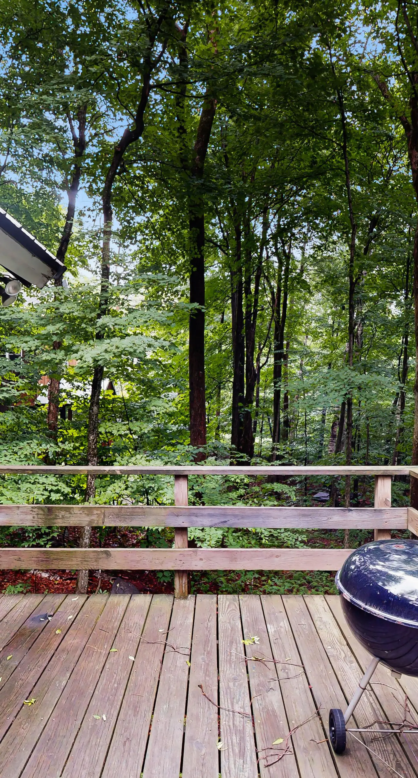 Log Ski Lodge