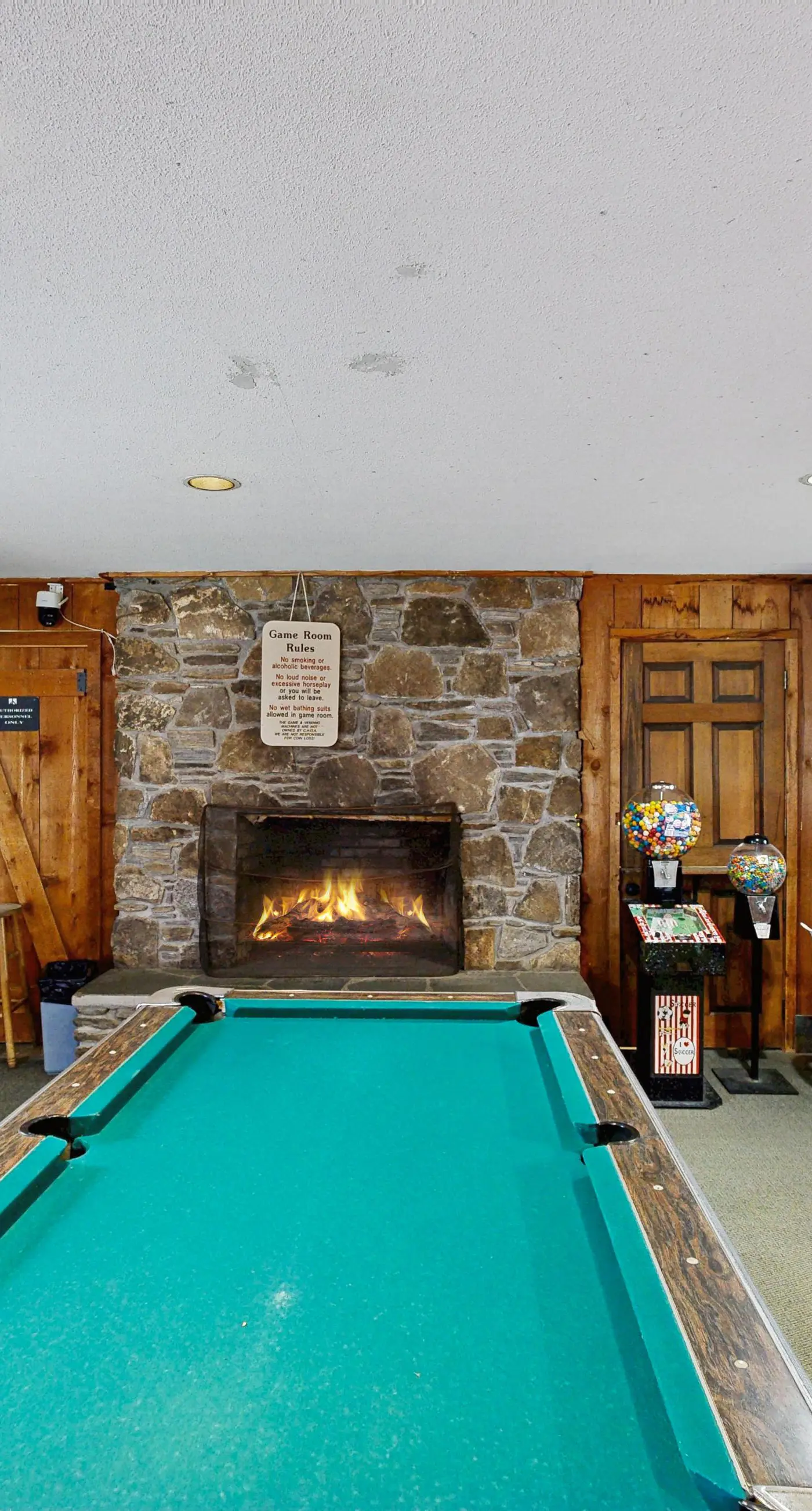 Log Ski Lodge