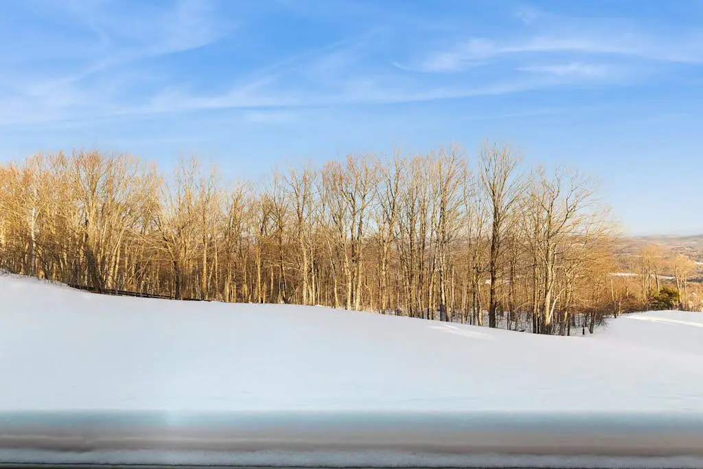Okemo Trailside 37B