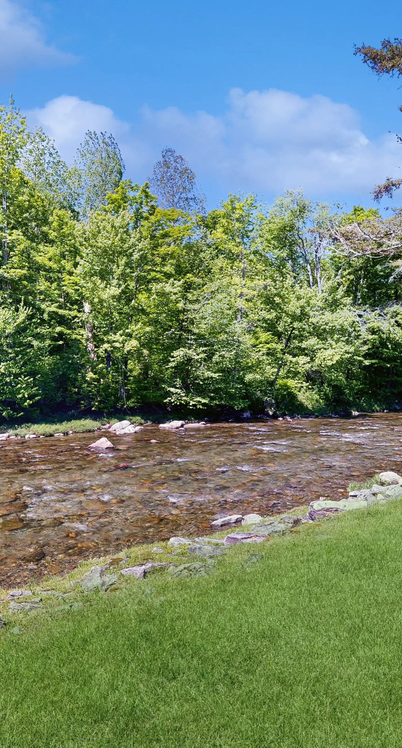 Jay Peak Getaway on Trout River