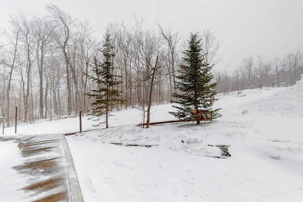 Jay Peak Village Home 367A&B