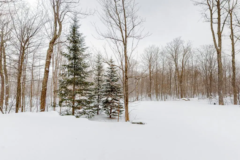 Jay Peak Village Home 367A