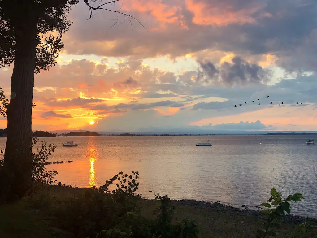 Life on the Lake
